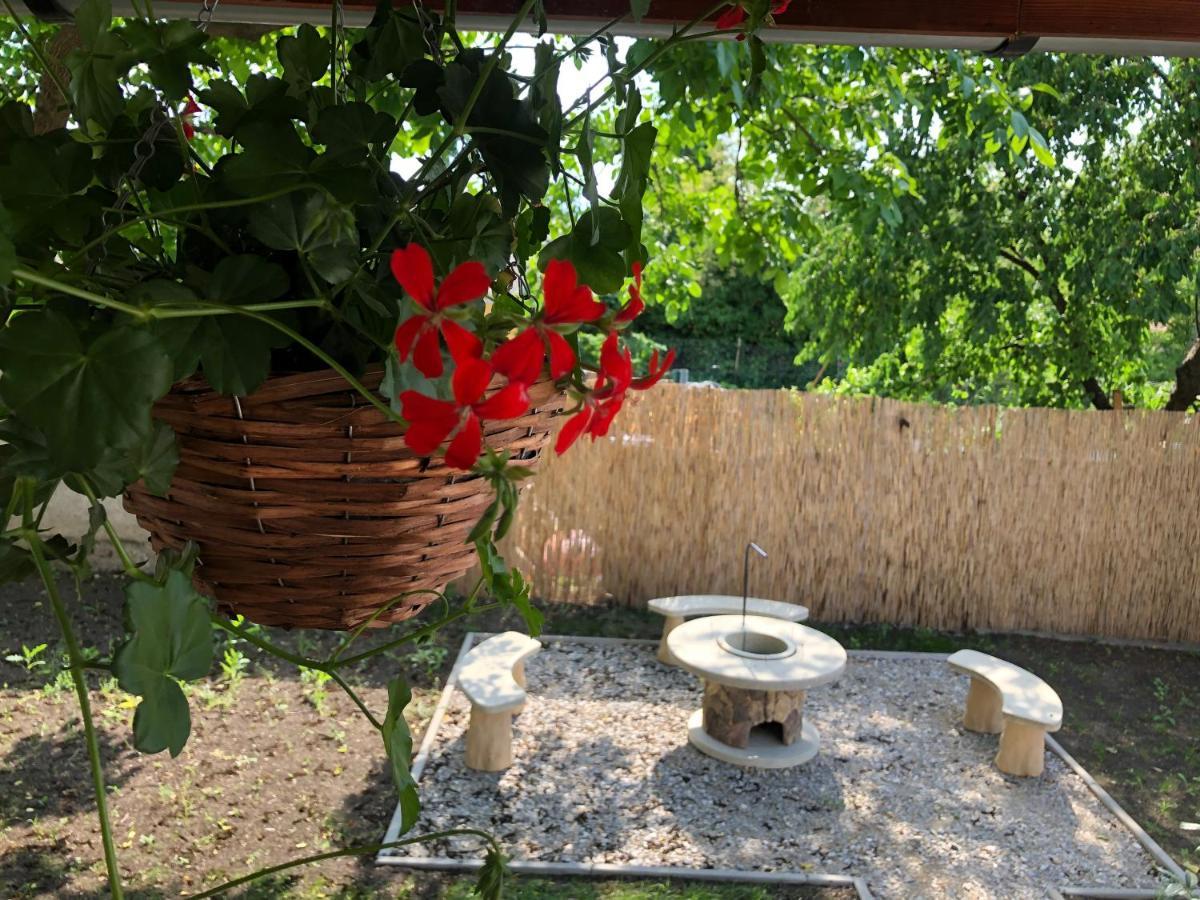 Mormota Vendeghaz Apartment Mezokovesd Bagian luar foto